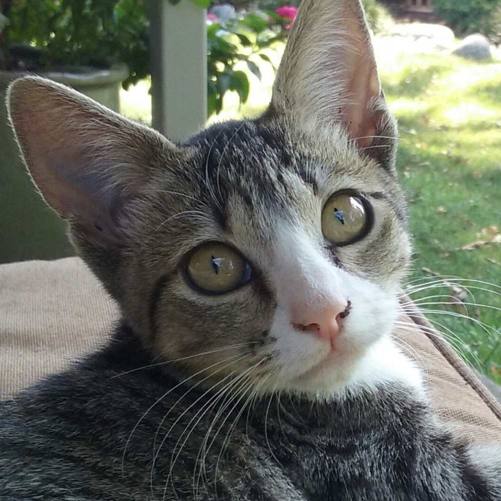 Meet your Posher, Mary